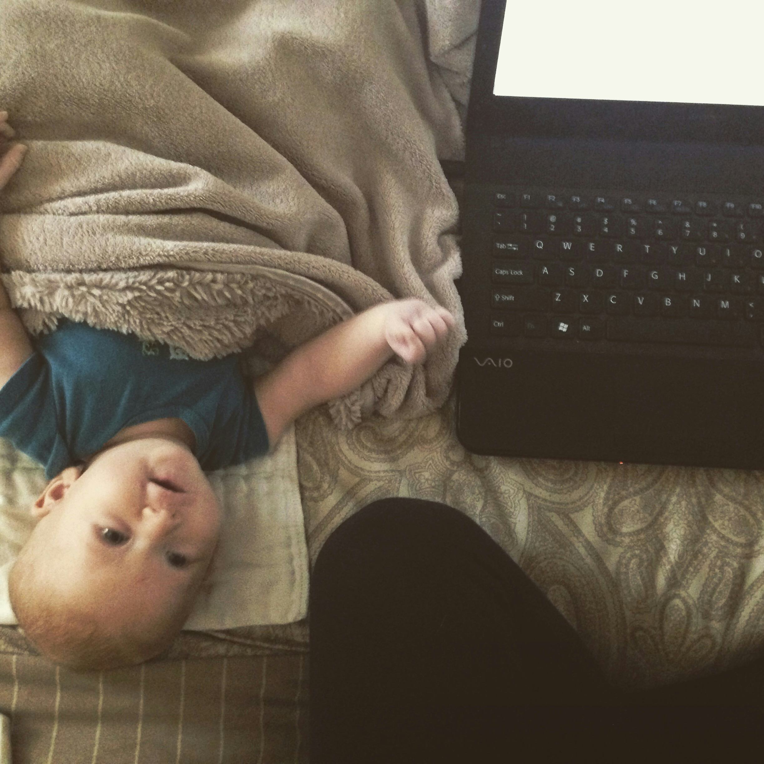 real stay at home jobs 2015