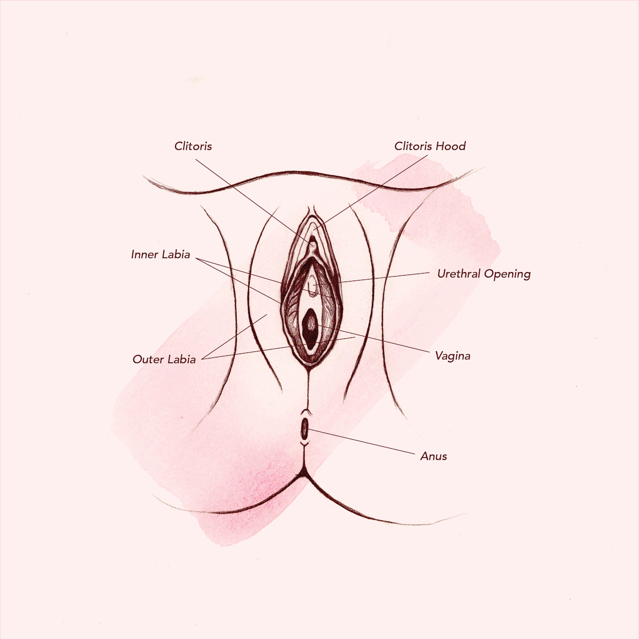 How To Lick Vagina 44