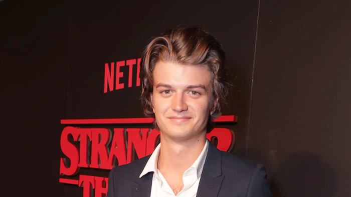 Resultado de imagen para steve stranger things actor
