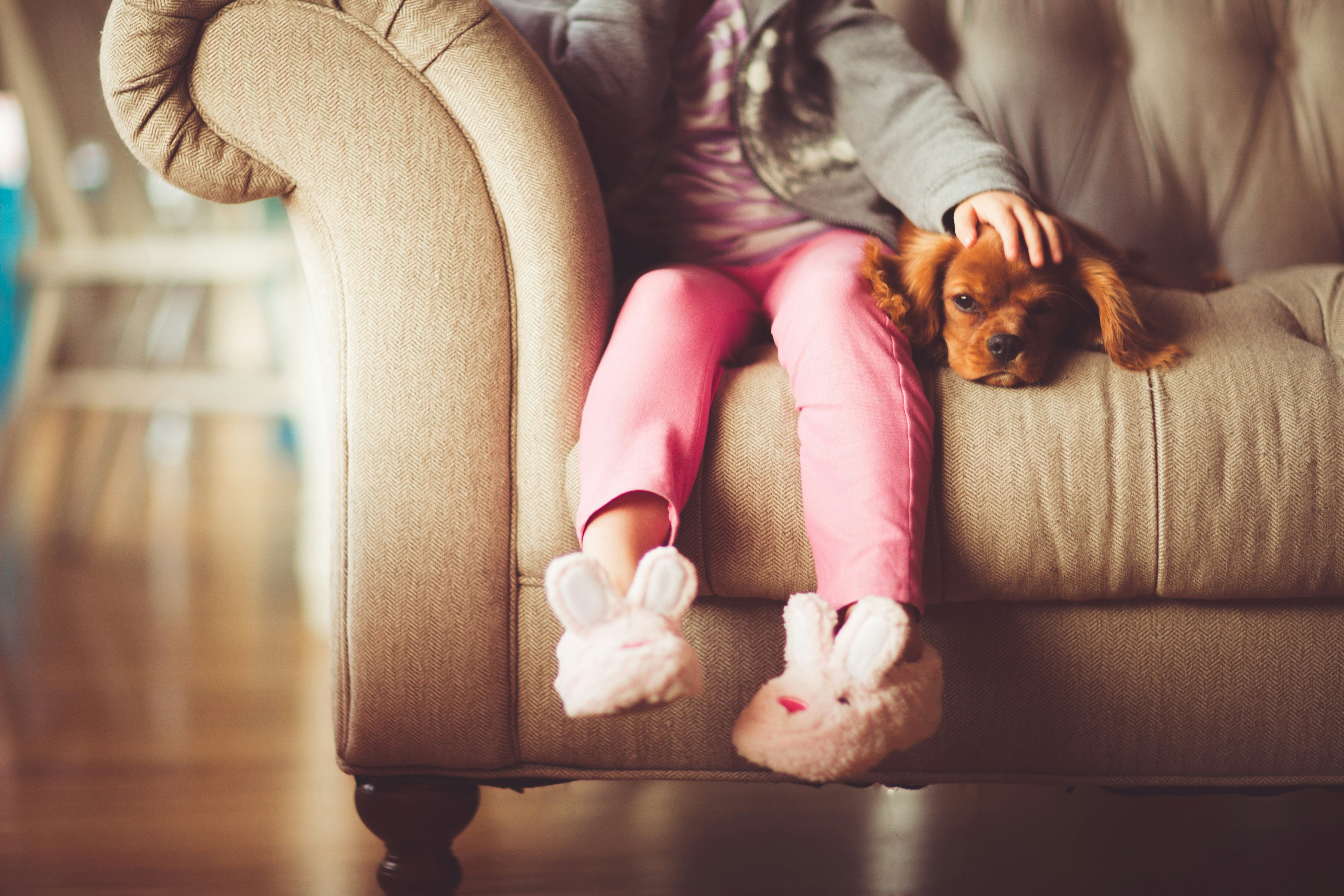 Kids like their pets more than their family, study finds