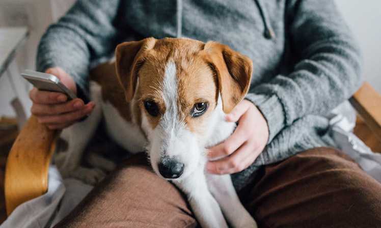 www free dating site online com