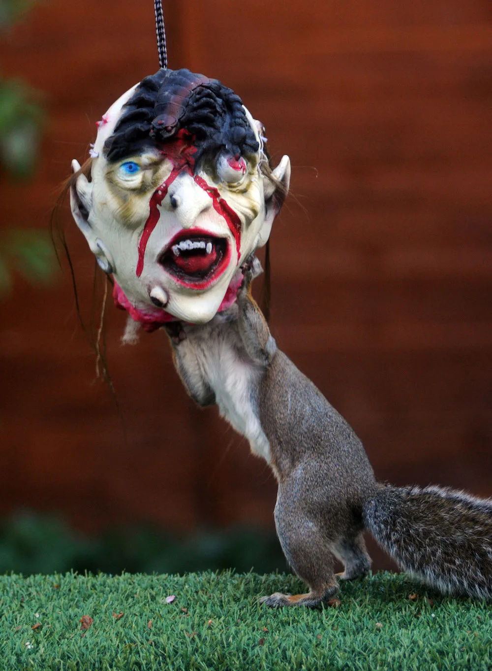 Halloween Masks For Squirrels Are A Thing And They Re So Cute It S