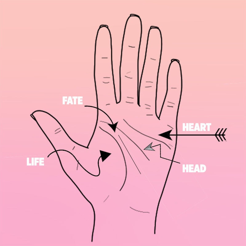 Palm Reading Hand Chart