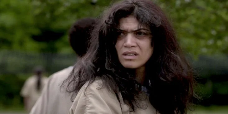 What Happened To Blanca In Orange Is The New Black: Complete Guide & Key Details