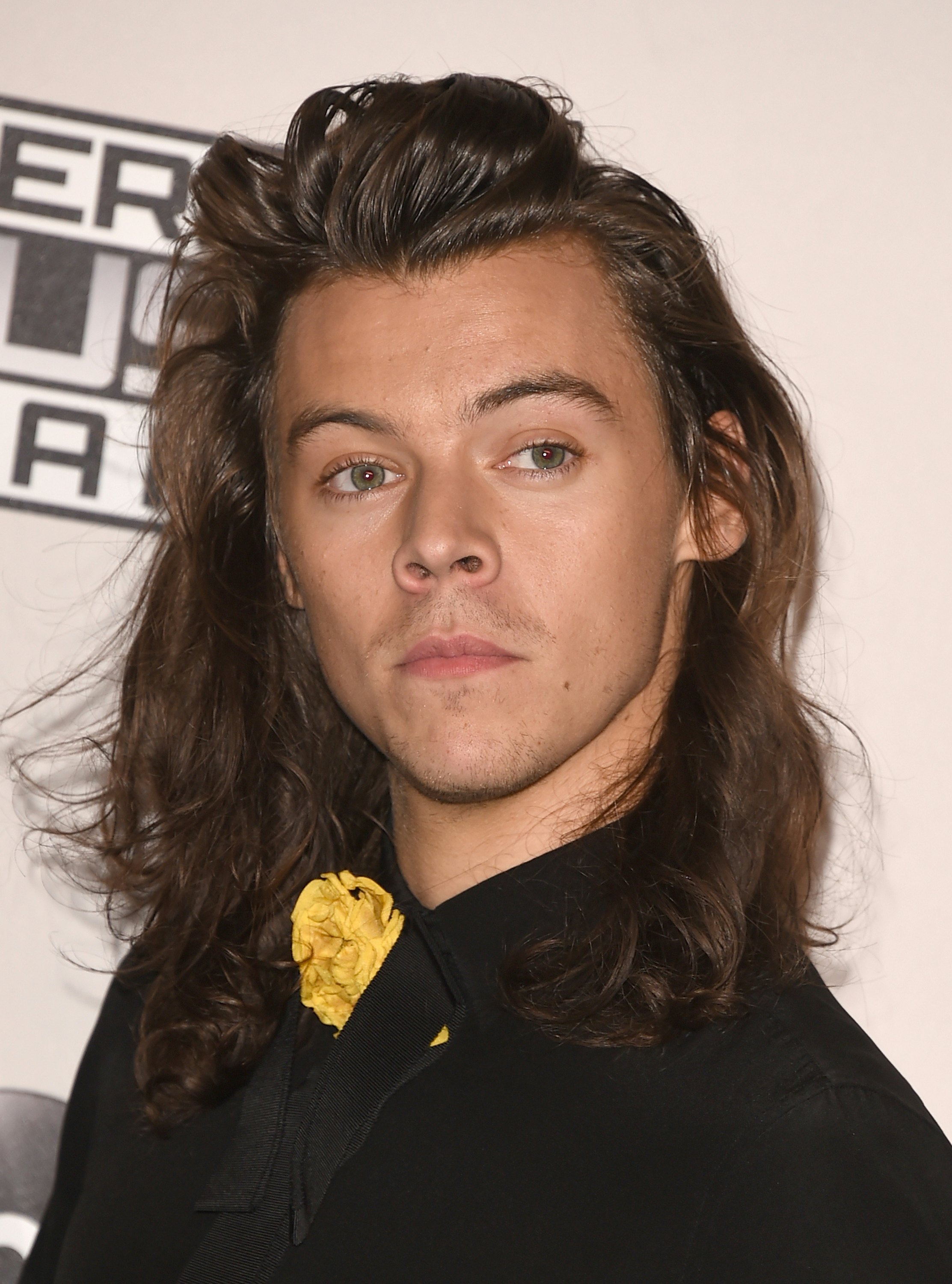 Harry Styles Long Hair Just Made An Incredible Unexpected