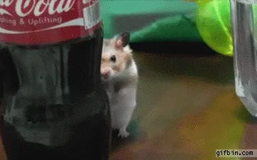 48fdd9e0-b6e5-0132-9a5e-0e01949ad350.gif