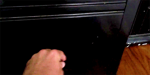 Image result for puppy in drawer at work gif