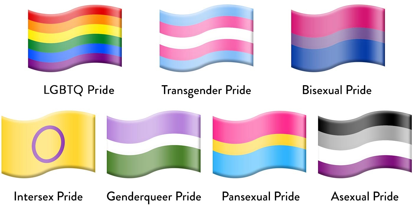 Image result for pride flags list