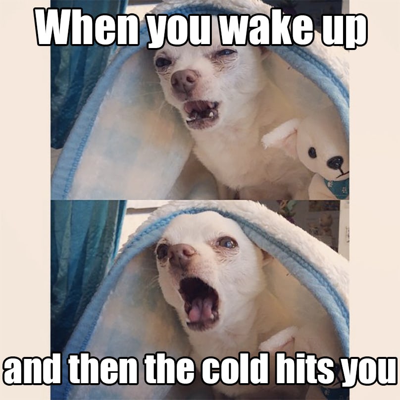 13 first day of winter memes that will help cure those seasonal blues b6540f50 a75b 0134 ce83 0aec1efe63a9 13 first day of winter memes that will help cure those seasonal blues
