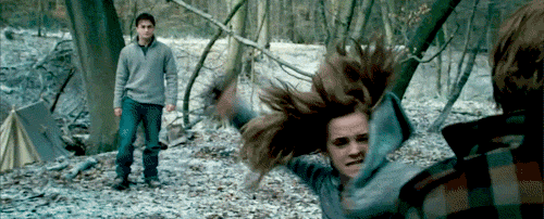 Image result for hermione attacks ron with birds gif