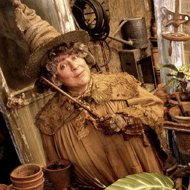 Hogwarts Professors Ranked From Snape To Slughorn