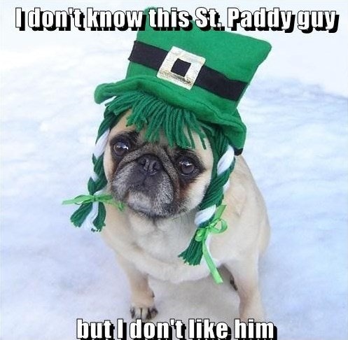 10 Funny St Patrick S Day Memes To Make You Laugh On This Irish