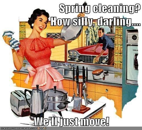 Image result for spring cleaning meme