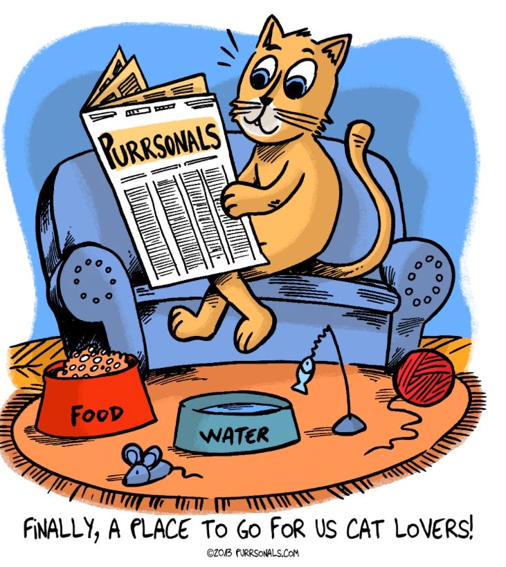 dating site Cat Lovers