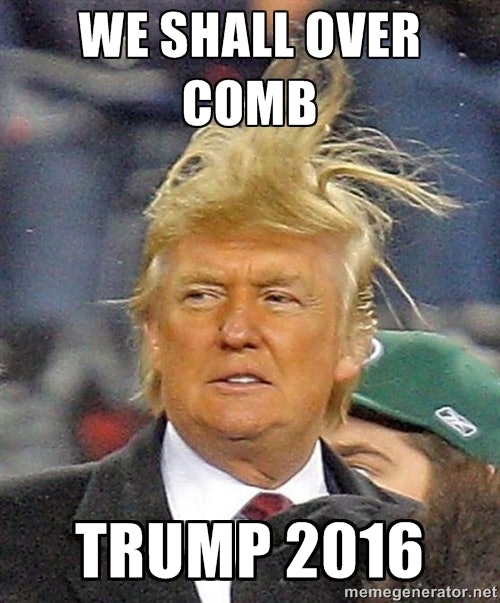 Image result for Trump hair meme