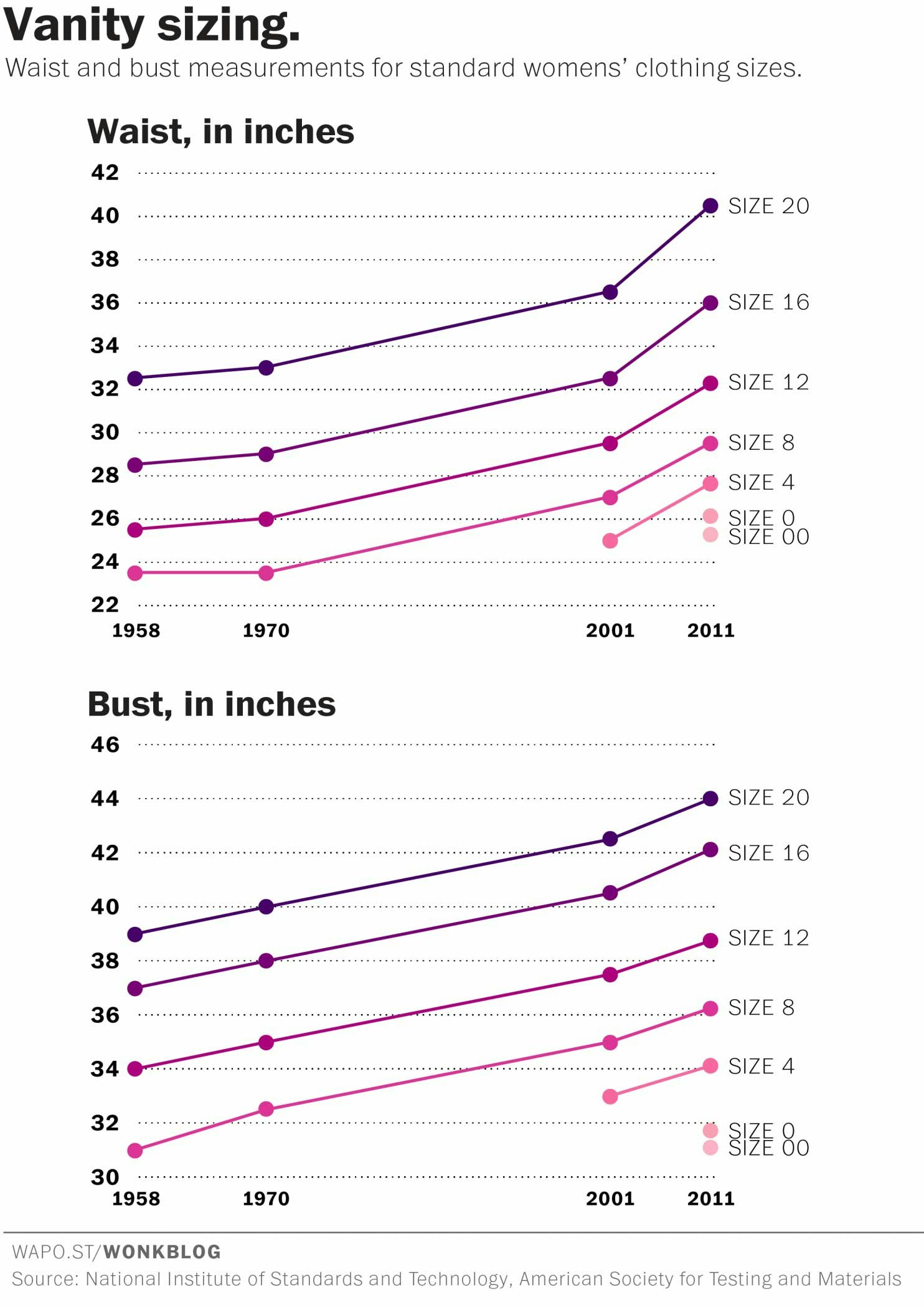 American Apparel Women S Size Chart