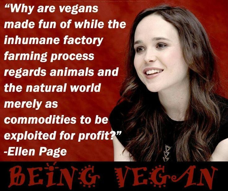 Image result for vegan celebrity quotes
