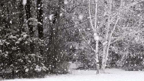 Image result for gif Beautiful Snow pouring down gif