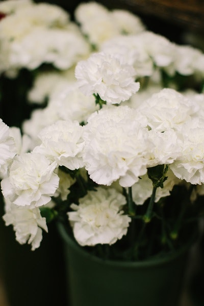 All White Flower Bouquet