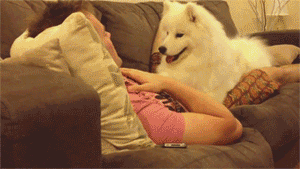 0ae291c0-aa8d-0133-a050-0e7c926a42af.gif