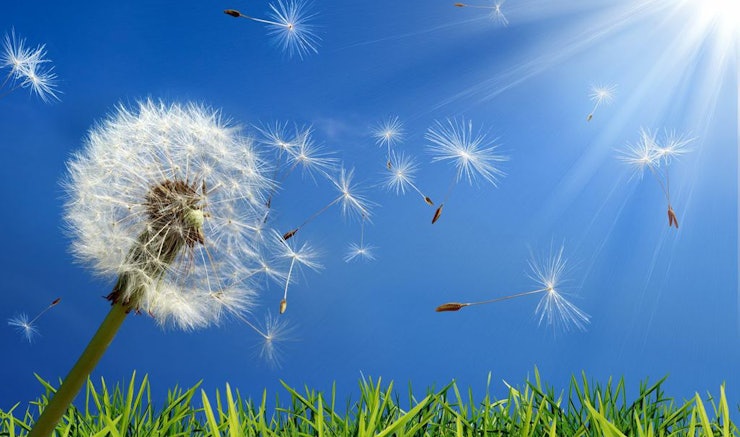Foods That Make Allergies Worse Foods That Make Allergies Worse