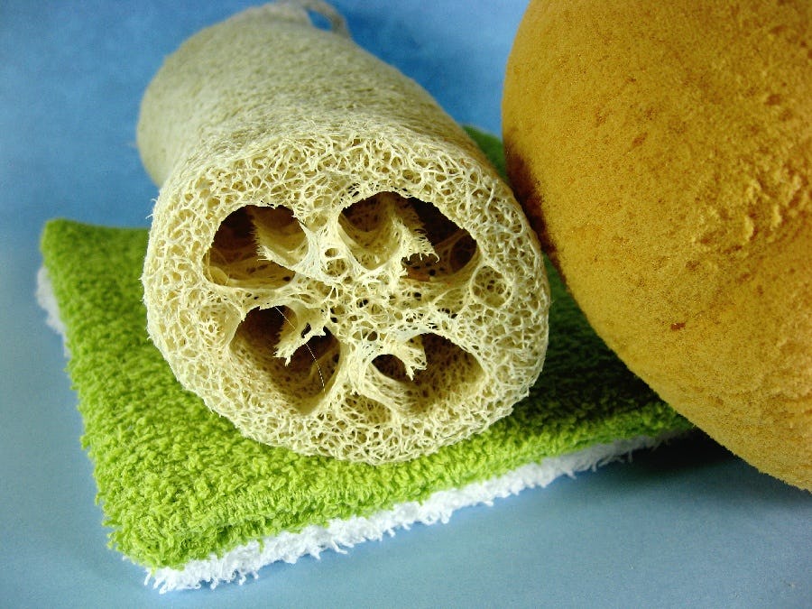 Loofahs Can Be Bad For Acne If They Aren't Cleaned Properly, So Here's