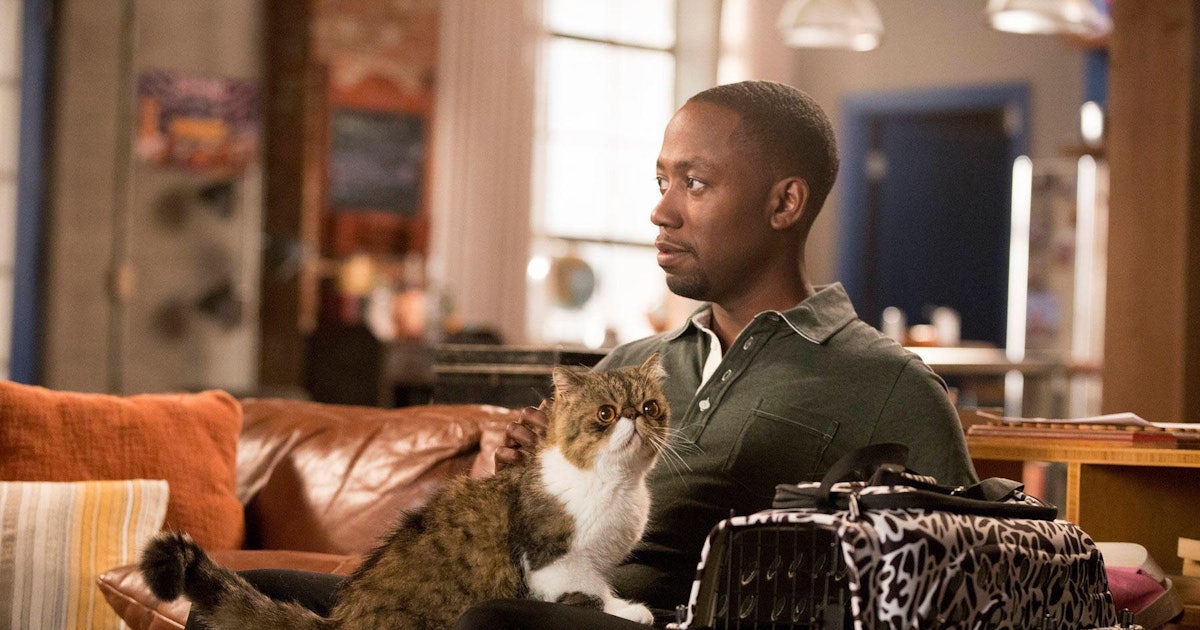 What Kind Of Cat Is Ferguson In New Girl What Kind Of Cat Is Ferguson In New Girl
