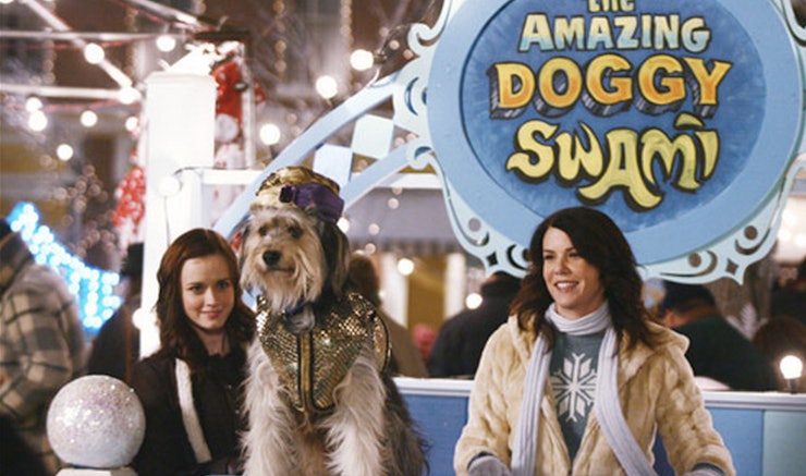 Paul Anka Dog Name Paul Anka Dog Name