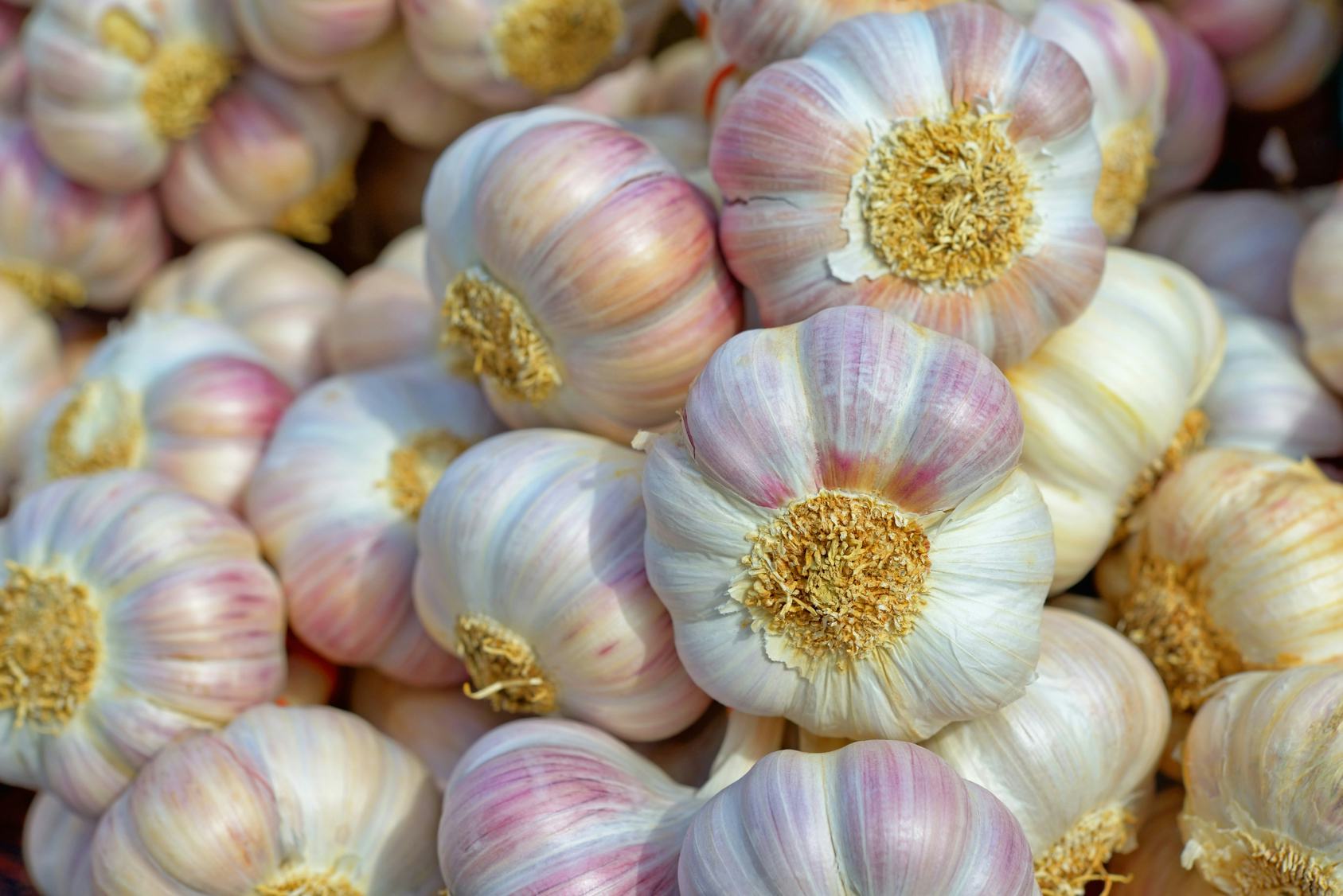 How Do I Get Rid of Garlic Breath? Here's Are 7 ScienceBacked Solutions