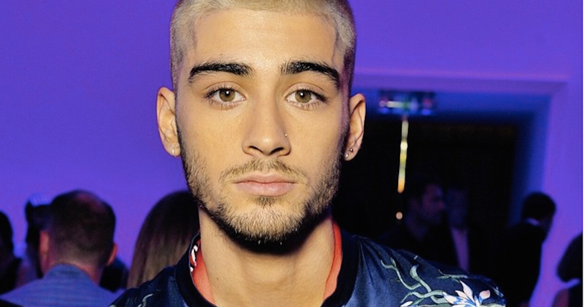 5 Things Zayn Malik s Hair Can Teach Us Because Eyebrow 5 things zayn maliks hair can teach us because eyebrow hair and head hair dont have