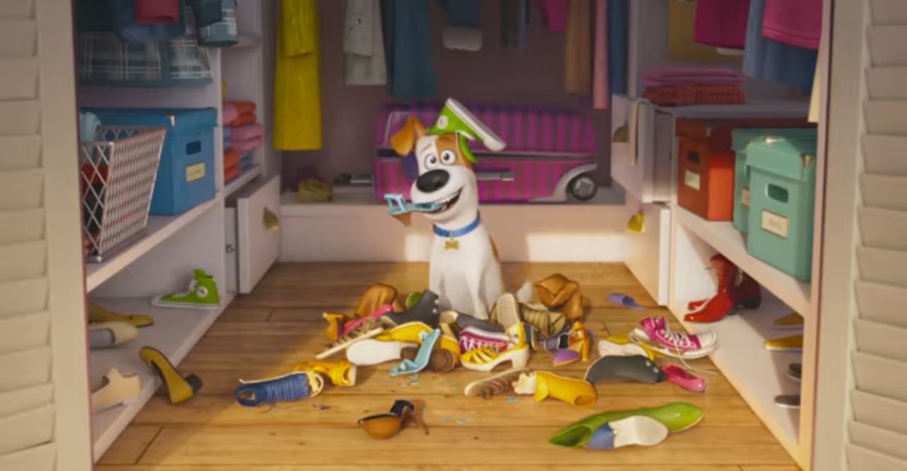 Funny Comedian Videos The Secret Life Of Pets (2016) 