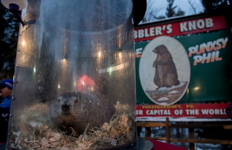 groundhog day how many days did it last did the groundhog see his shadow other groundhog day groundhog day how many days did it last did the groundhog see his shadow other groundhog day