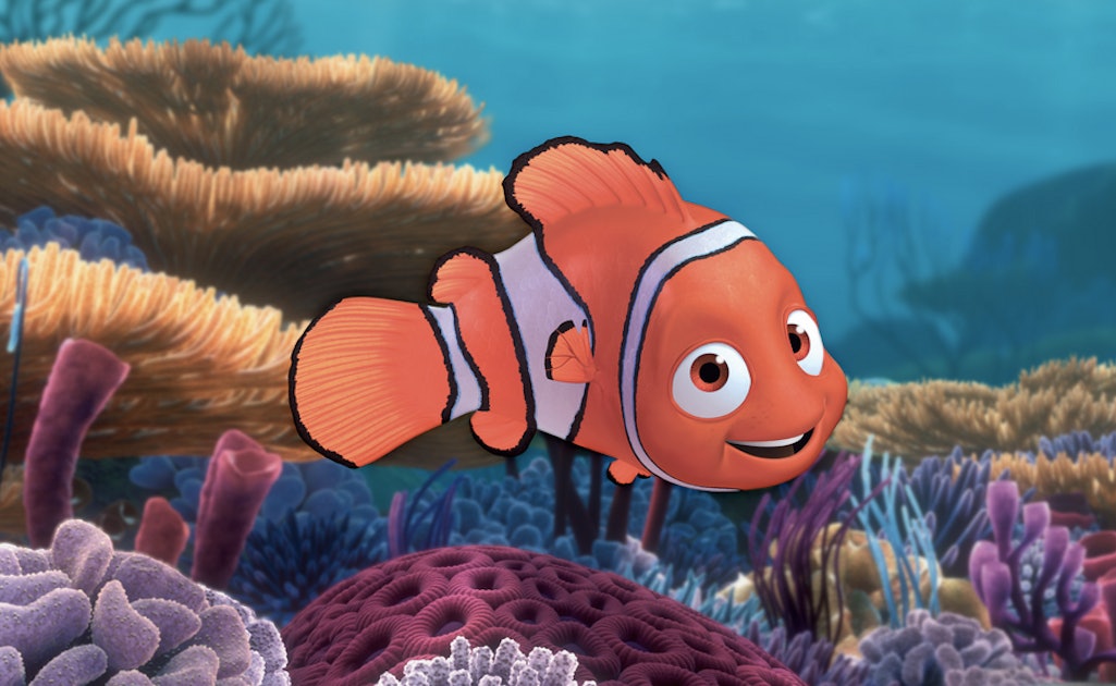  Finding Nemo   Could Be A True Story Except For The 
