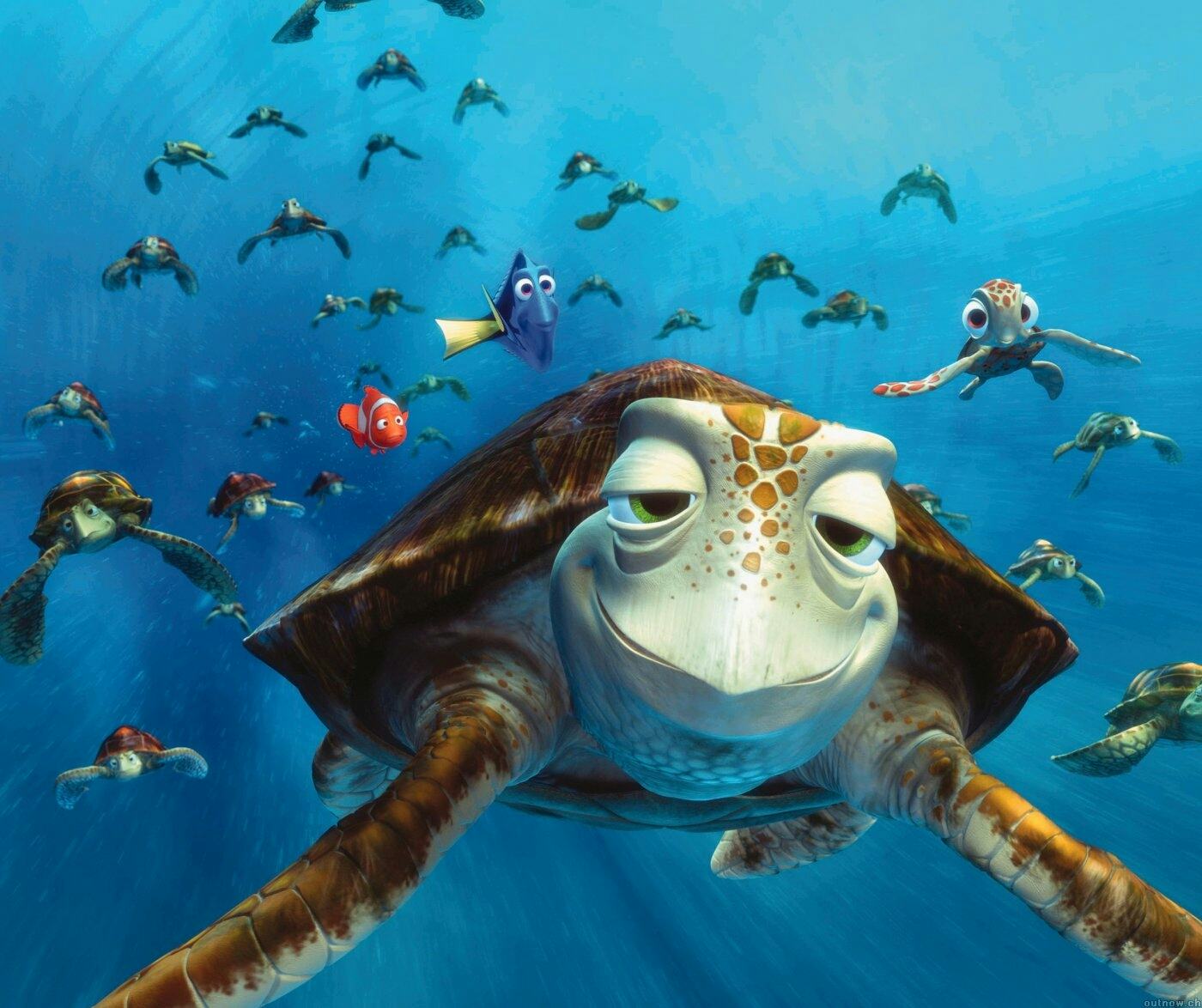 finding nemo turtle        
        <figure class=