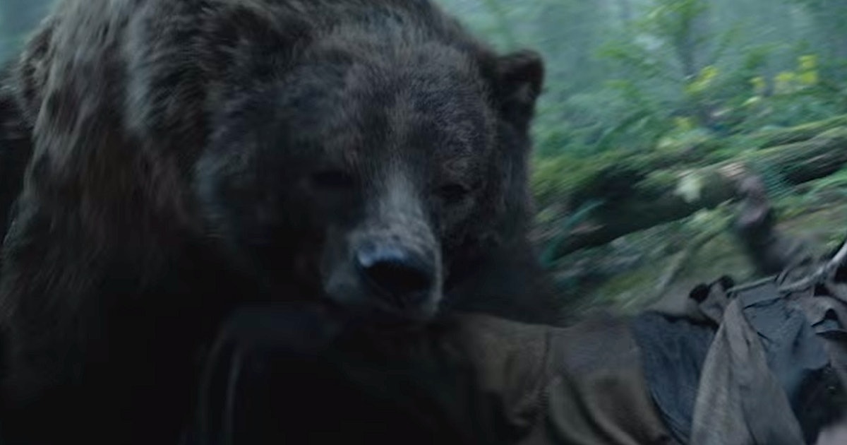 'The Revenant' Bear Oscars Memes & Jokes Are A Nice Break From The