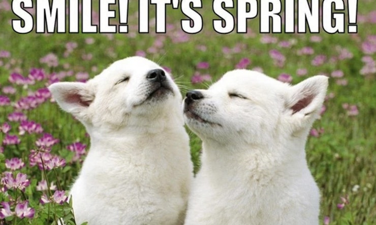 18 First Day Of Spring Memes So You Can Start The Season Off With A Laugh