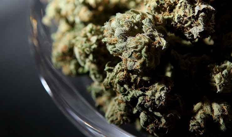 Legalizing medical marijuana argumentative essay