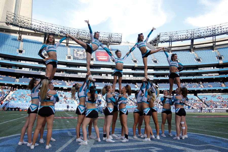 Resultado de imagem para cheerleaders canada sharks
