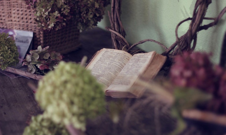 11 Wedding Readings About Family That Will Add So Much Love To 11 Wedding Readings About Family That Will Add So Much Love To Your Special Day