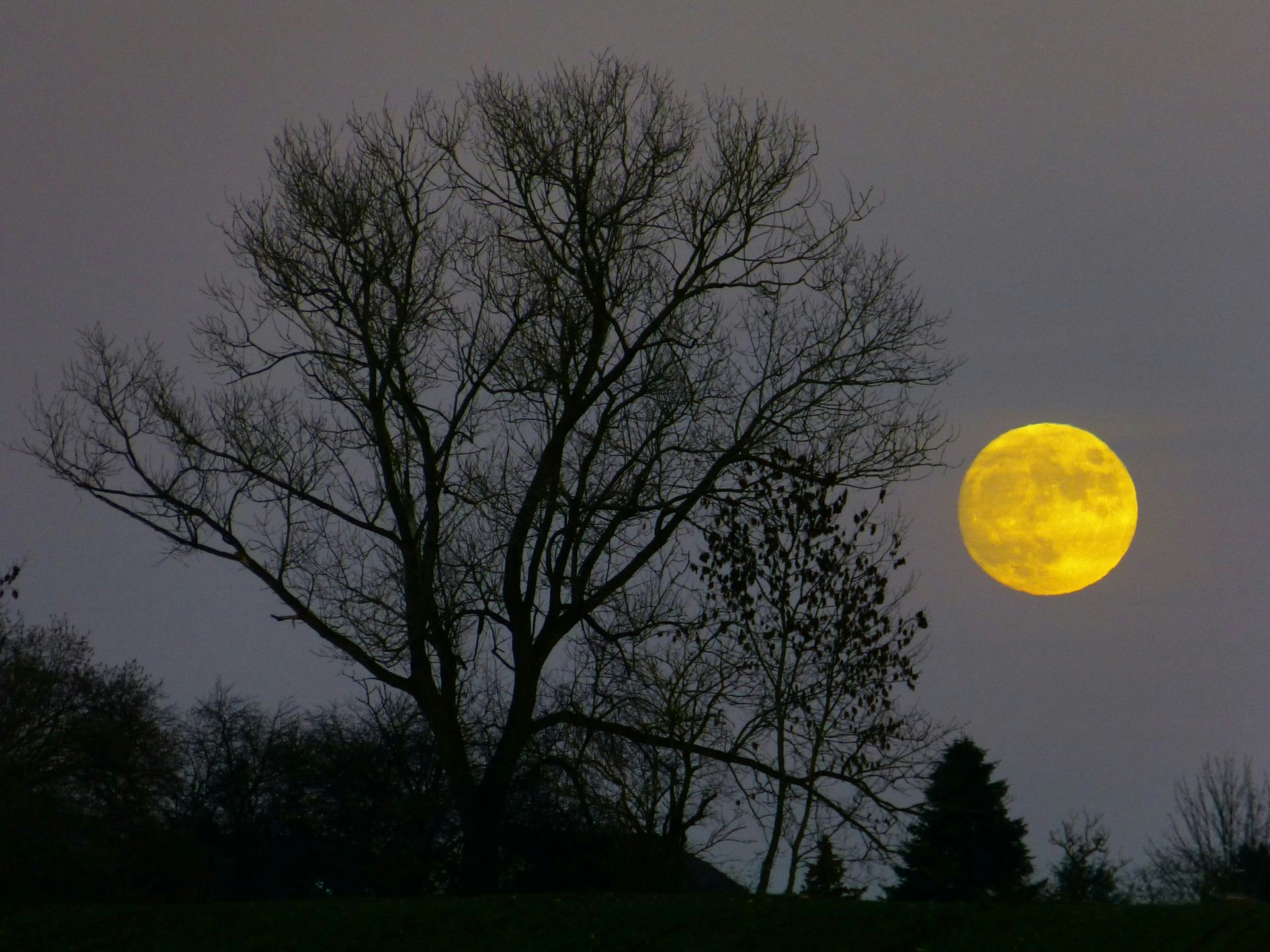 Here's When A Full Moon On The Autumnal Equinox Is Happening Next