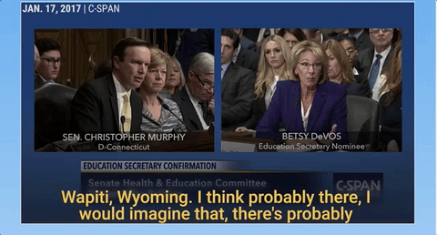 Image result for Devos guns in school gif