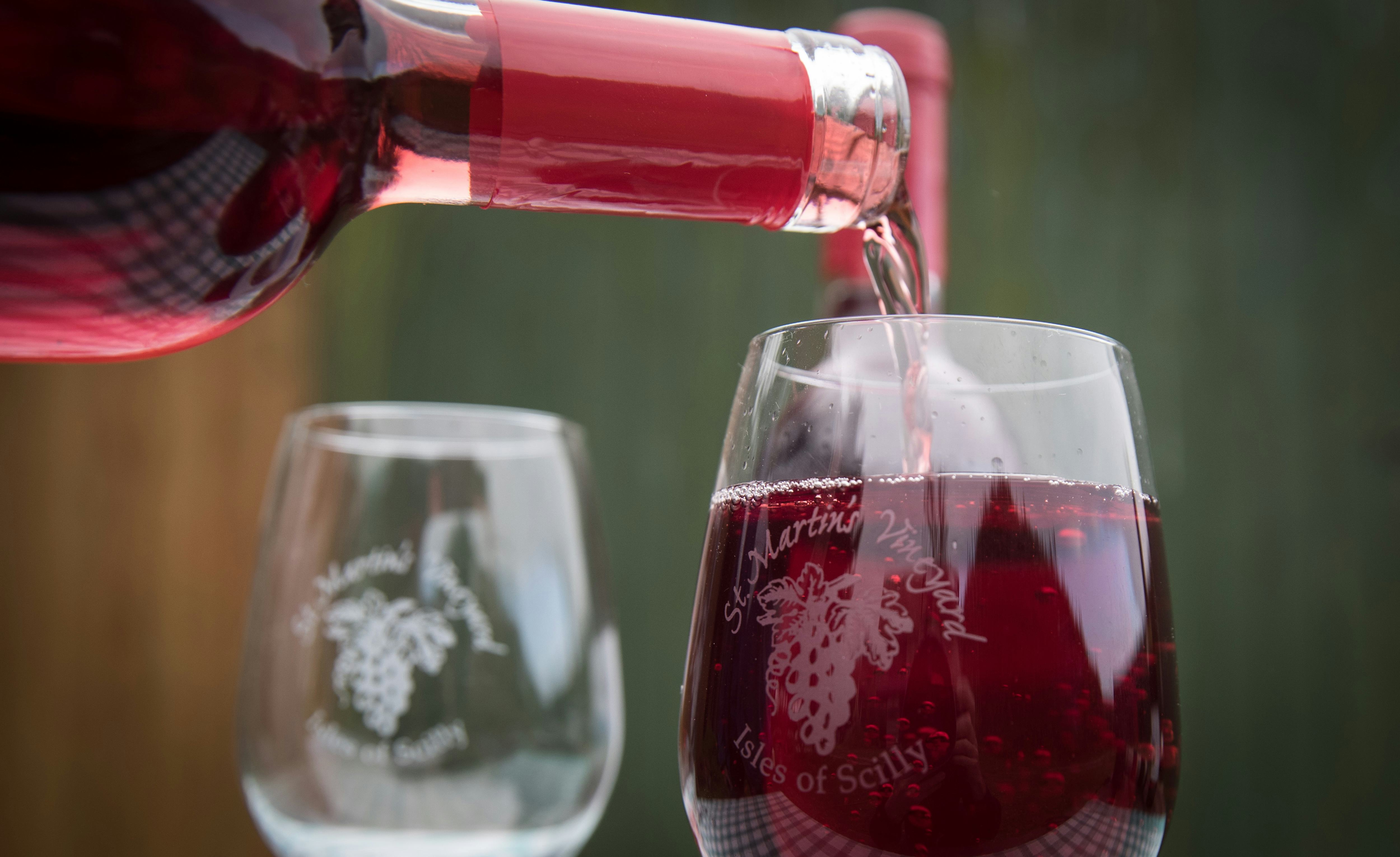 It’s Totally OK to Drink a Bottle of Wine a Day, According to this