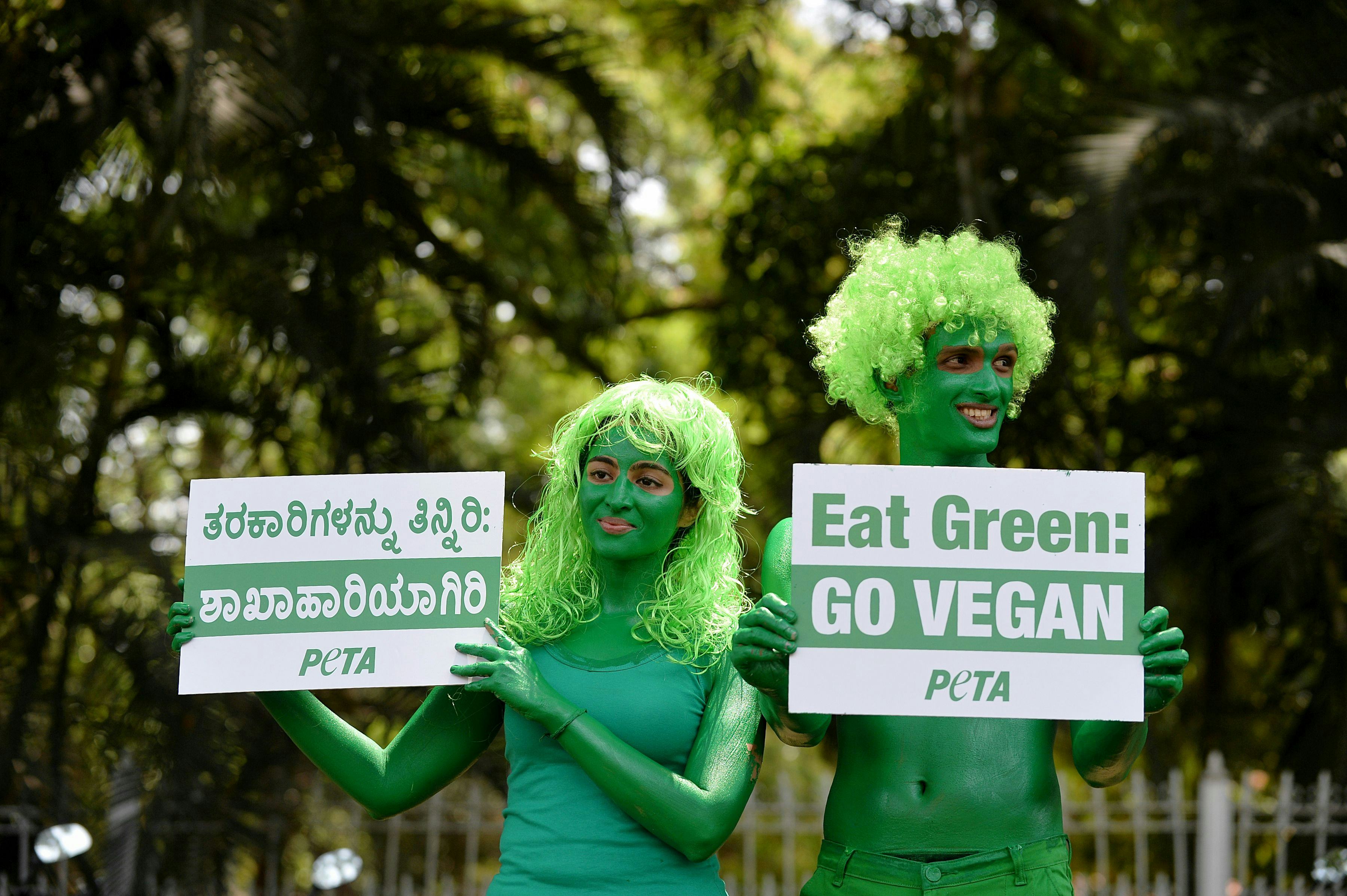 How To Argue For Vegetarianism 7 Common Arguments For Eating Meat