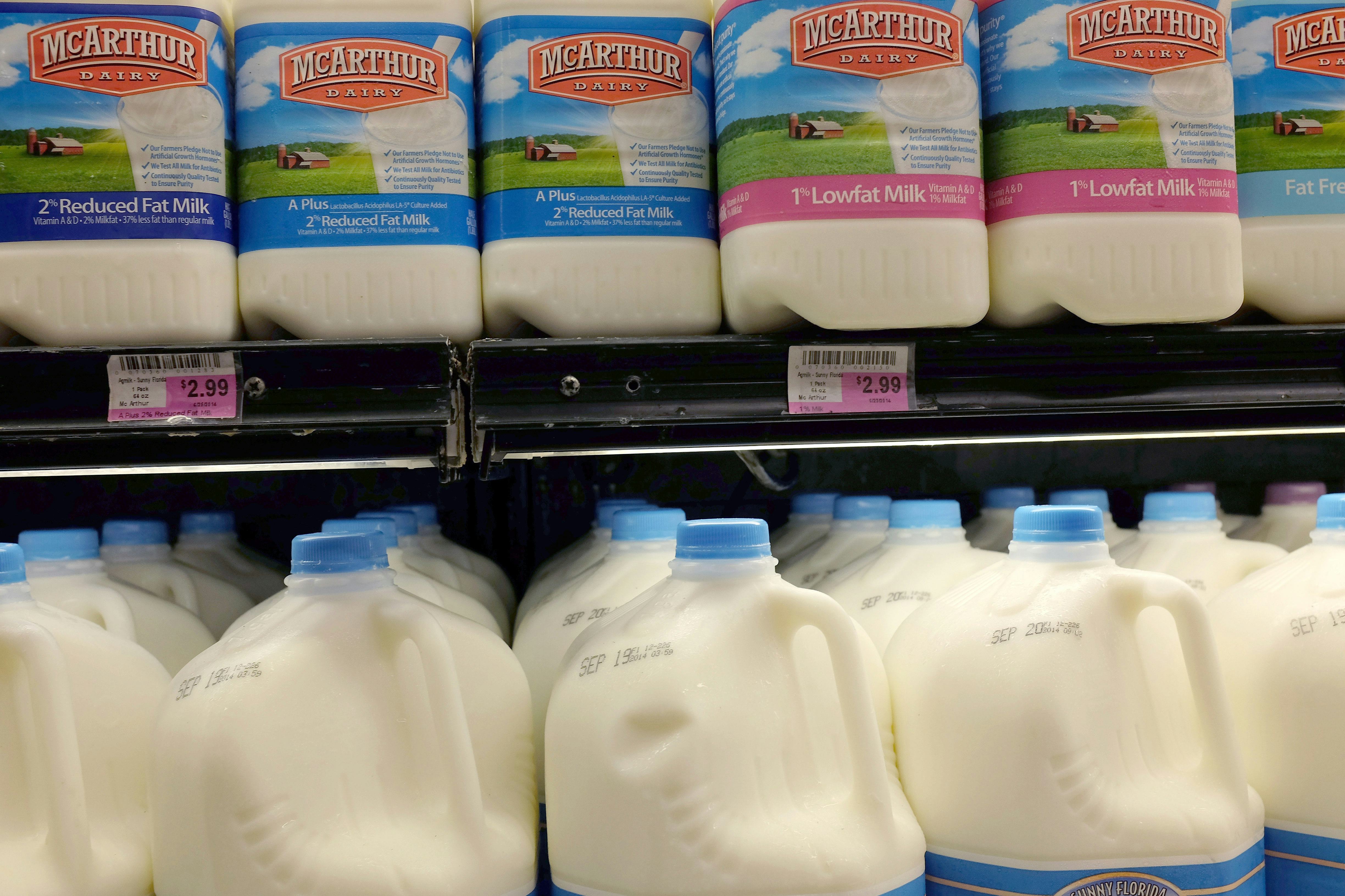 Lactose Intolerant? American Milk May Be The Problem