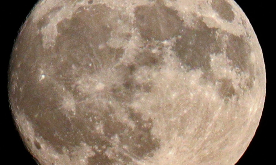 What Does The Frost Moon Mean For Your Sign November 2017 s Full Moon what-does-the-frost-moon-mean-for-your-sign-november-2017-s-full-moon