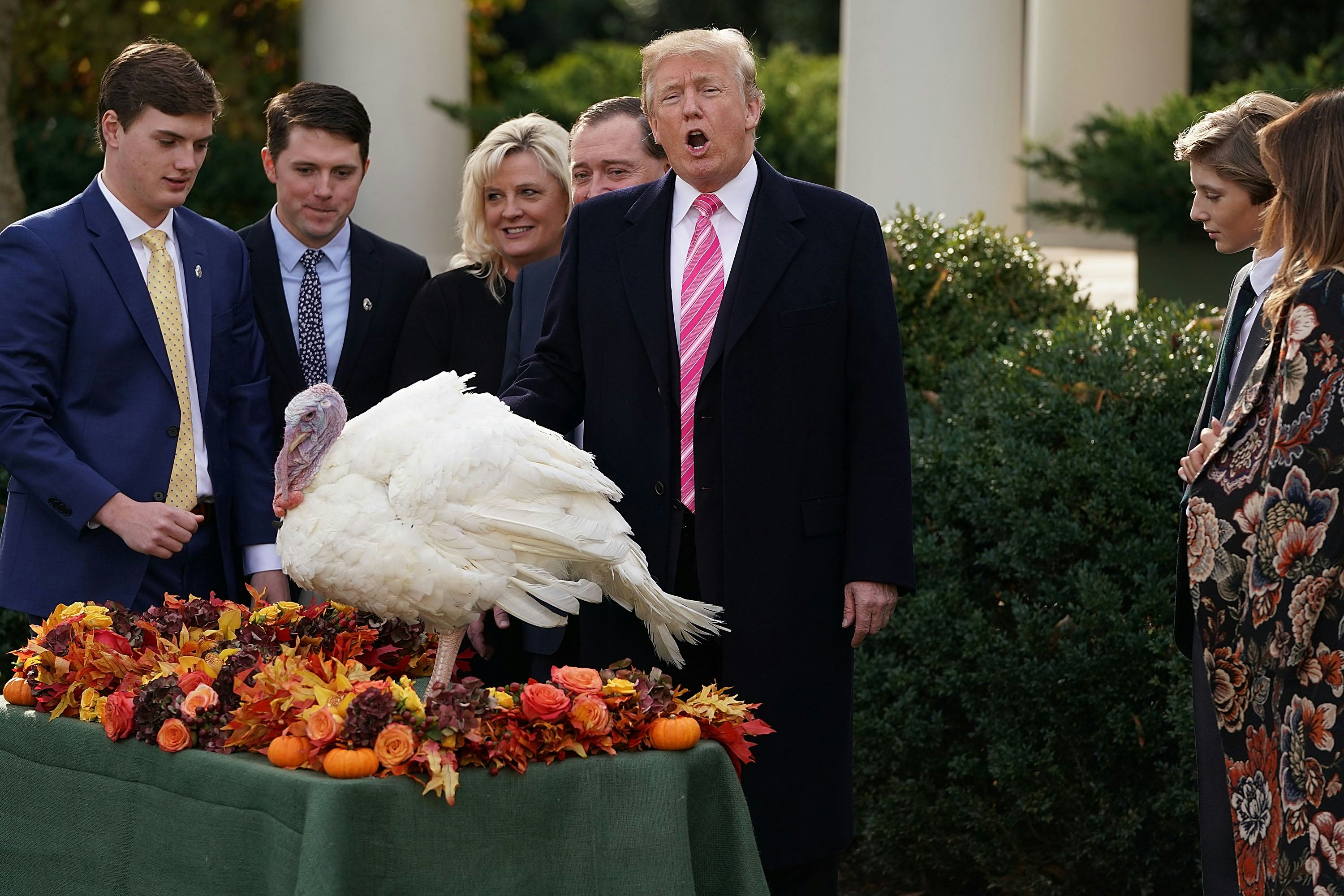 President Donald Trump pardons turkey in annual White House tradition President Donald Trump pardons turkey in annual White House tradition
