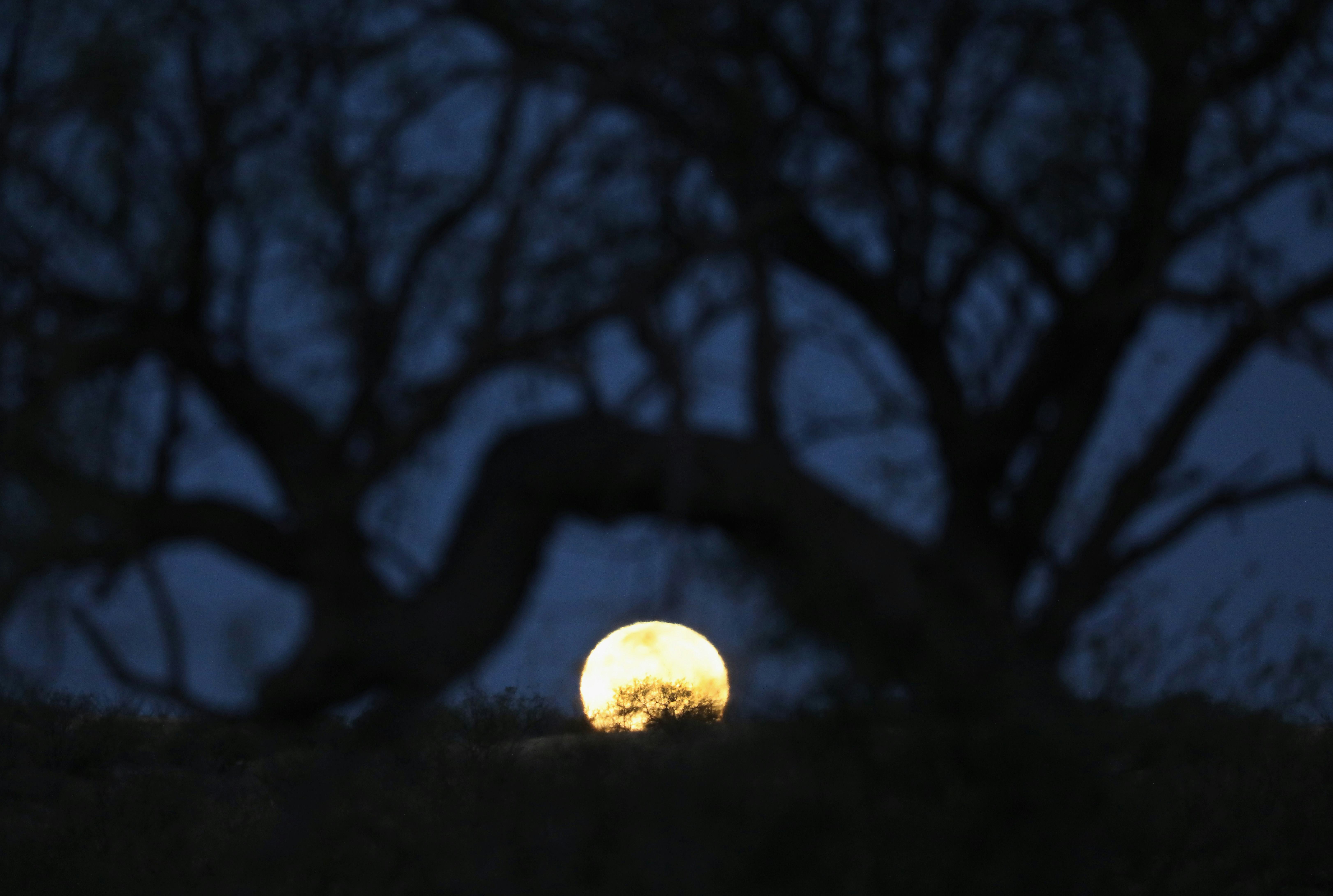 When Is The Supermoon In 2018? This Rare Phenomenon Is A Beautiful Sight To See John Moore Getty Images News Getty Images