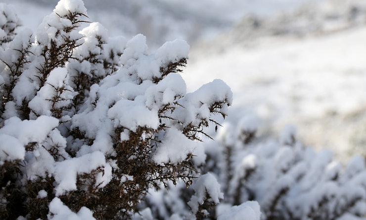 11 Quotes About Winter From Literature That Make The Perfect Instagram