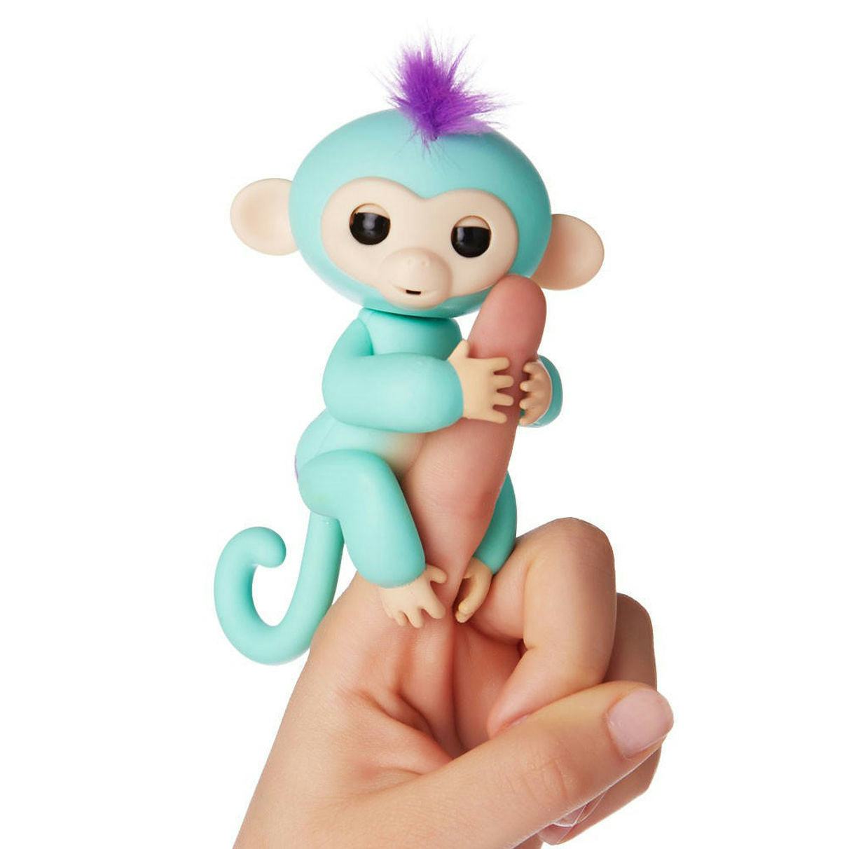 blue fingerling monkey