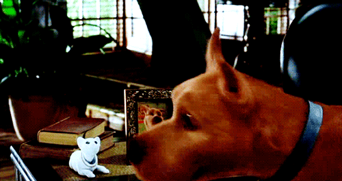 Resultado de imagen de Scooby-Doo 2: Monsters Unleashed gif